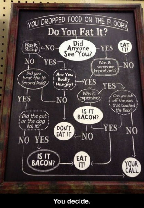 bacon 5 second rule.jpg